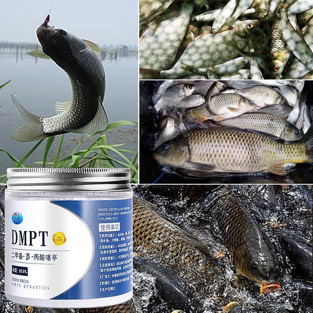 50g Real DMPT High Purity Fish - đánh giá và giá Fishing Equipment For Sale